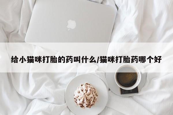 堕胎药微信有谁买微信给小猫咪打胎的药叫什么/猫咪打胎药哪个好