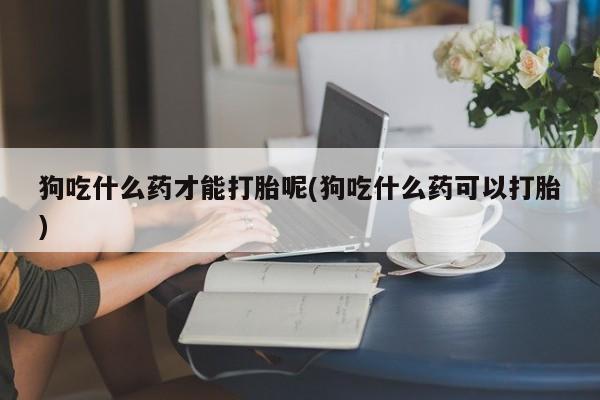 堕胎药微信有谁买微信狗吃什么药才能打胎呢(狗吃什么药可以打胎)