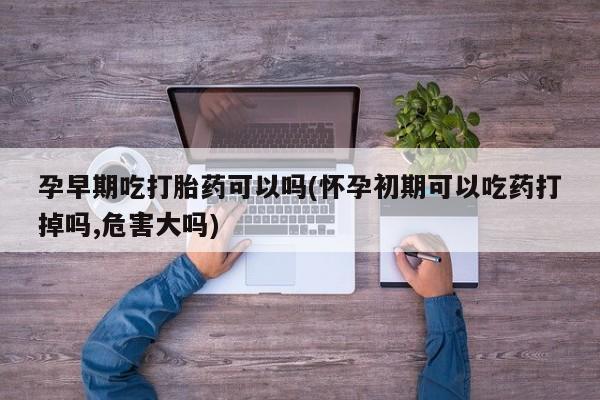 堕胎药微信有谁买微信孕早期吃打胎药可以吗(怀孕初期可以吃药打掉吗,危害大吗)