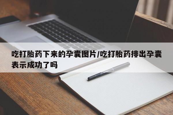 堕胎药微信有谁买微信吃打胎药下来的孕囊图片/吃打胎药排出孕囊表示成功了吗